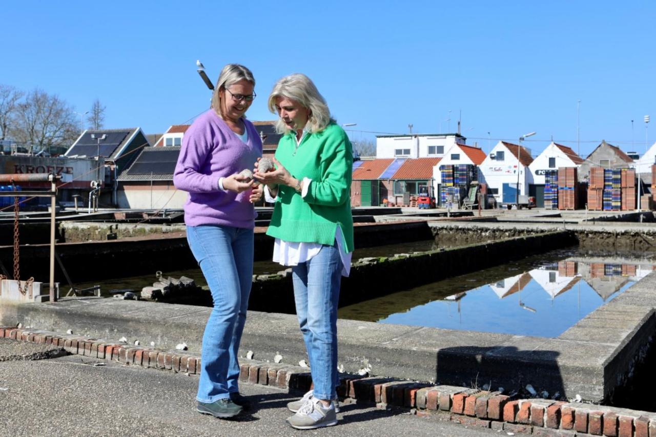 Wolphaartsdijk Huis Met Een Uitzicht Eksteriør bilde